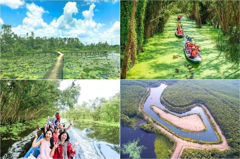 Du ngoạn rừng tràm, đi thuyền và ngắm cảnh Đồng Tháp Mười (Ảnh: Sưu tầm)